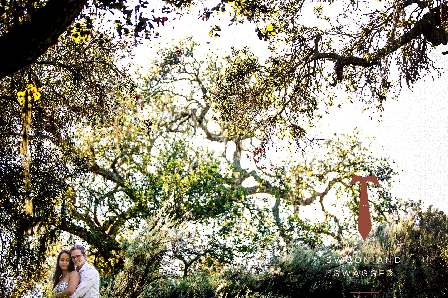 Zaca Mesa Winery Engagement session photo swoon and swagger